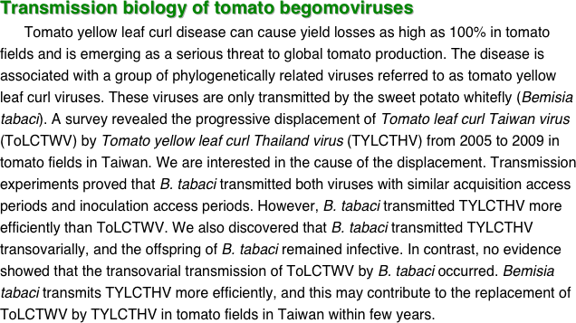 Transmission biology of tomato begomoviruses      Tomato yellow leaf curl disease can cause yield losses as high as 100% in tomato fields and is emerging as a serious threat to global tomato production. The disease is associated with a group of phylogenetically related viruses referred to as tomato yellow leaf curl viruses. These viruses are only transmitted by the sweet potato whitefly (Bemisia tabaci). A survey revealed the progressive displacement of Tomato leaf curl Taiwan virus (ToLCTWV) by Tomato yellow leaf curl Thailand virus (TYLCTHV) from 2005 to 2009 in tomato fields in Taiwan. We are interested in the cause of the displacement. Transmission experiments proved that B. tabaci transmitted both viruses with similar acquisition access periods and inoculation access periods. However, B. tabaci transmitted TYLCTHV more efficiently than ToLCTWV. We also discovered that B. tabaci transmitted TYLCTHV transovarially, and the offspring of B. tabaci remained infective. In contrast, no evidence showed that the transovarial transmission of ToLCTWV by B. tabaci occurred. Bemisia tabaci transmits TYLCTHV more efficiently, and this may contribute to the replacement of ToLCTWV by TYLCTHV in tomato fields in Taiwan within few years.