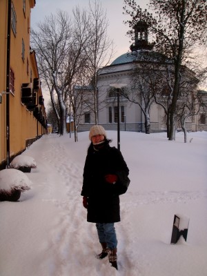 2008年冬天攝於瑞典斯德哥爾摩遠東古物館（左邊建築）旁，其中收藏了瑞典考古家於二十世紀早期在中國發現的文物。