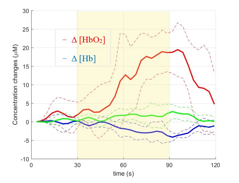 Changes in concentrations of oxygenated and deoxygenated hemoglobin and oxidized CCO