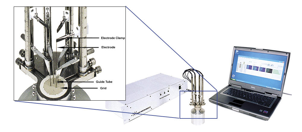 read hybridization with nucleic acid probes part ii probe labeling