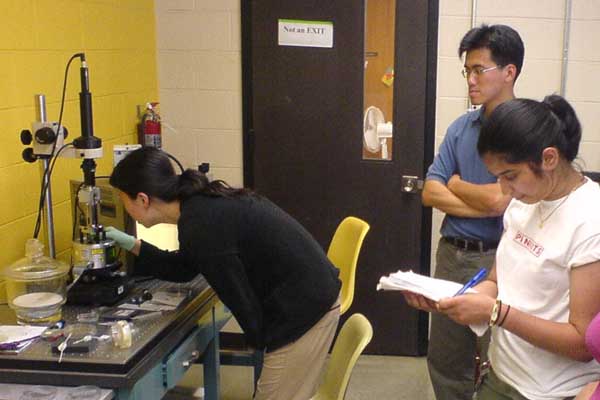 Students doing Tests