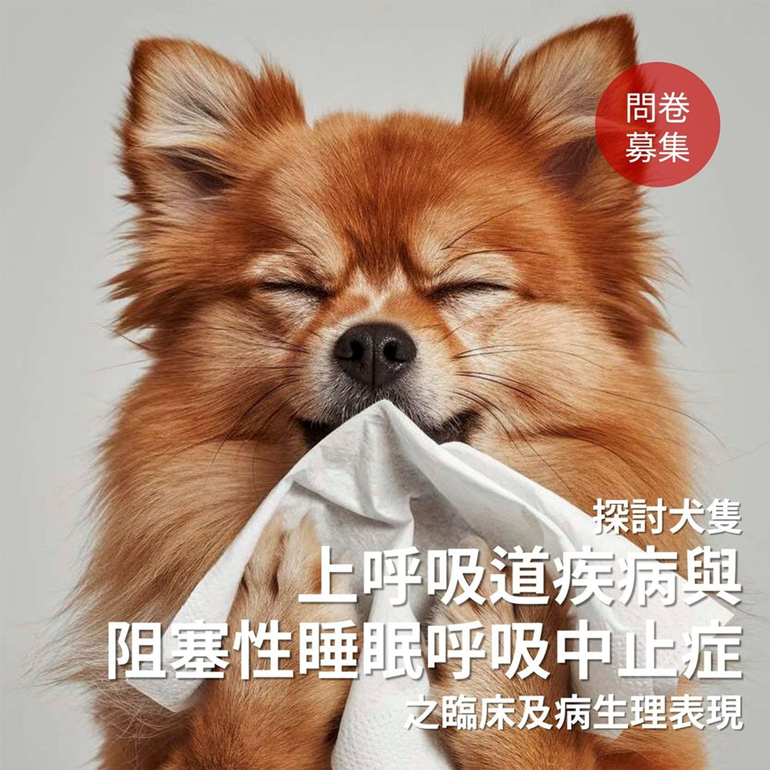 臨床研究-問卷募集【犬隻阻塞性睡眠呼吸中止症 】