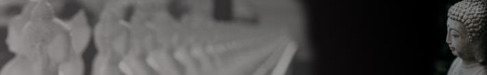 banner300a