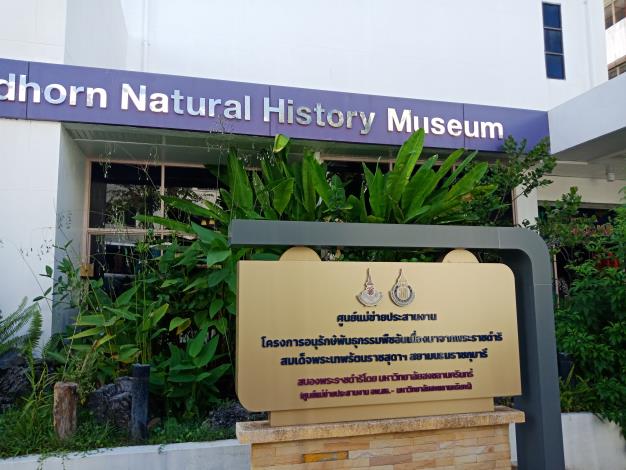 泰國宋卡王子大學自然史博物館參訪