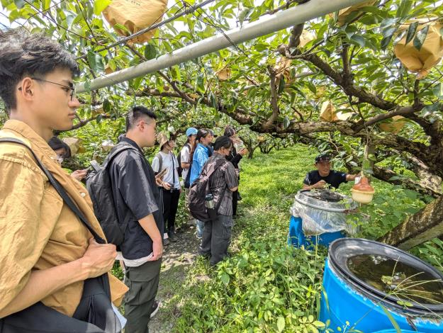 黃憲騰農友講解梨園病蟲害管理策略